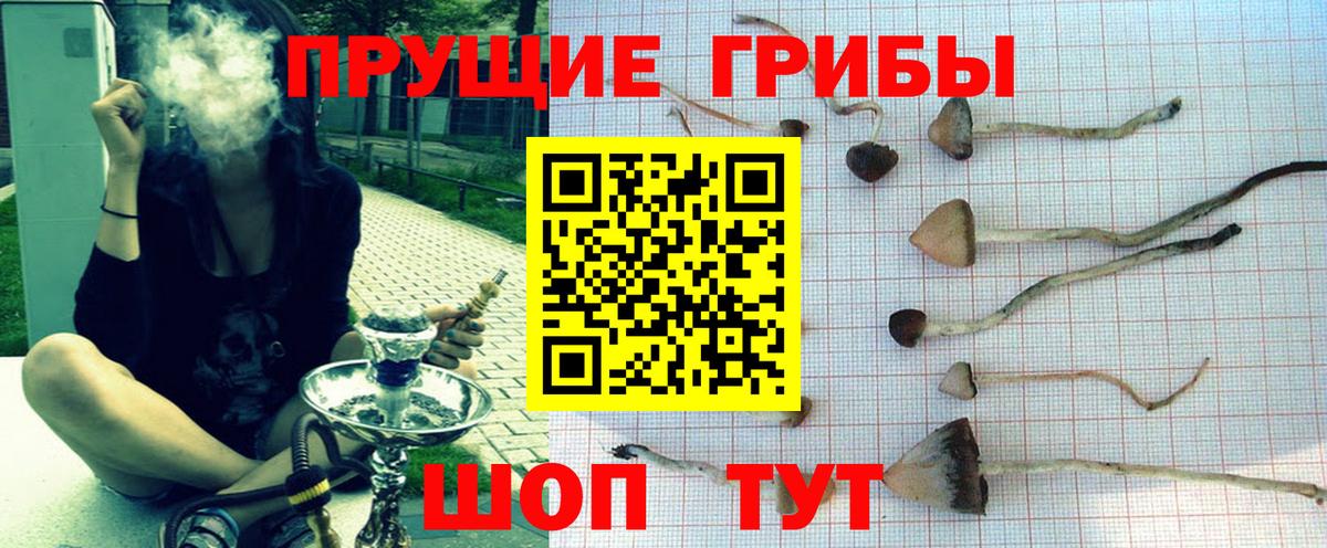 Галлюциногенные грибы Psilocybine cubensis Канаш