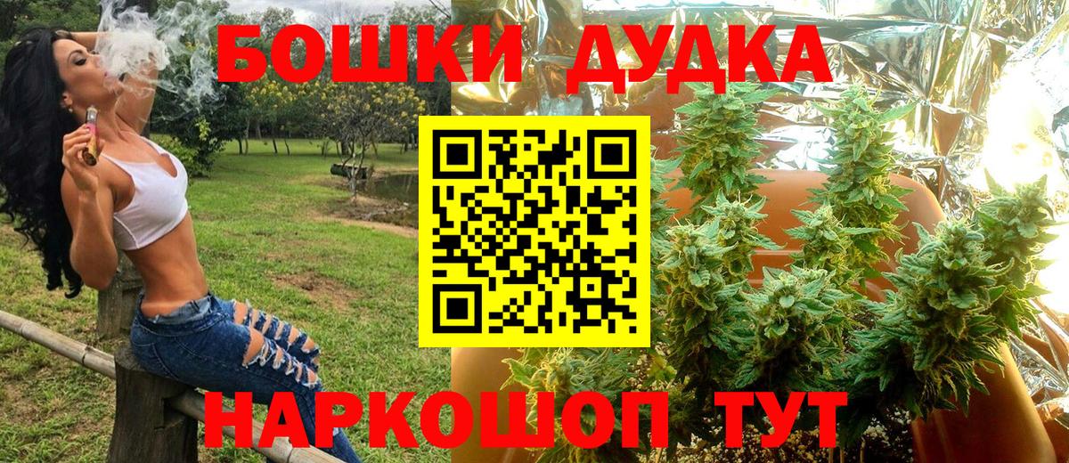 Канаш  Конопля Bruce Banner  Вход с VPN  Шишки марихуана марихуана  Марихуана гибрид 